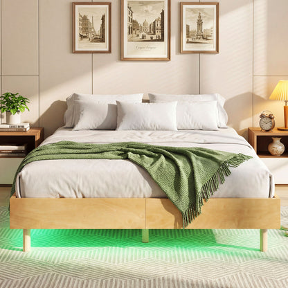 Twin/Full/Queen Size Floating Bed Frame with LED Lights for Bedroom-Queen