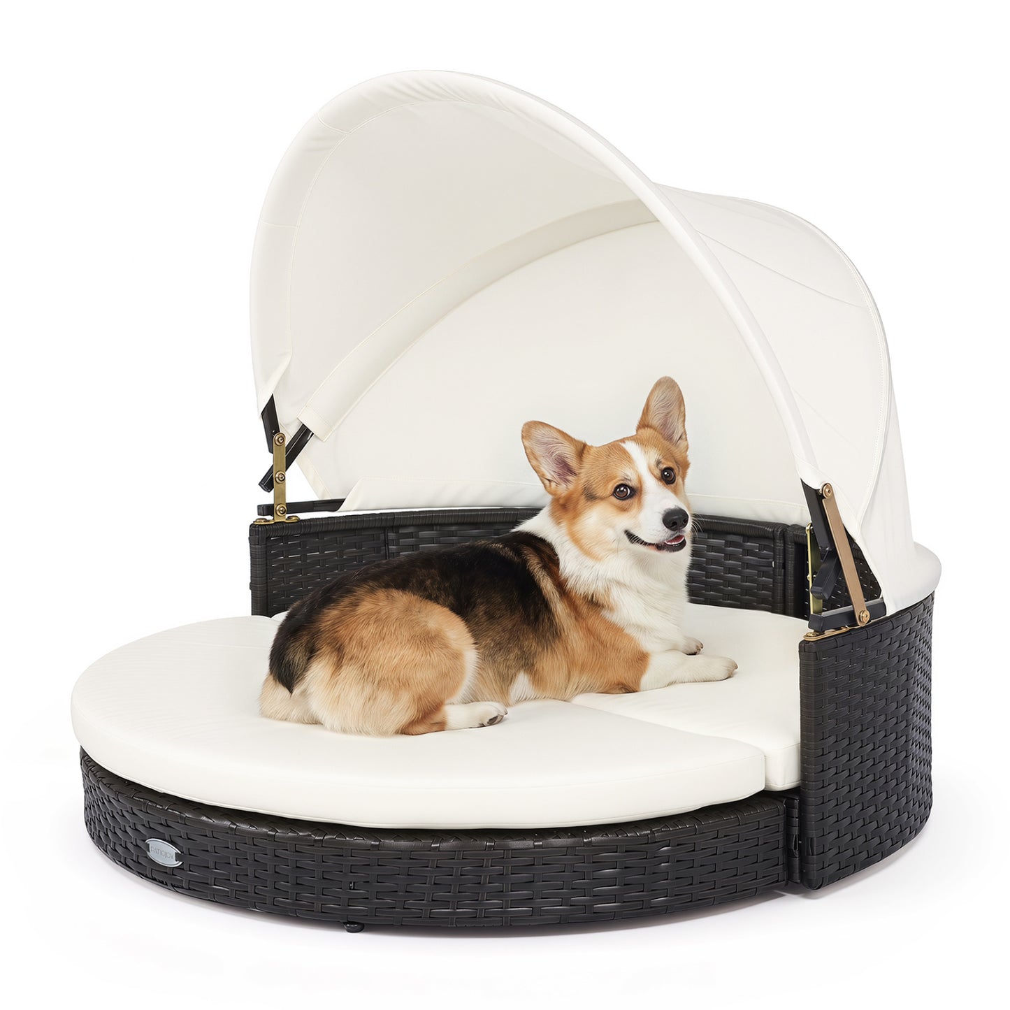 Wicker Dog House with Retractable Canopy & Removable Cushion for Small Medium Dogs-White