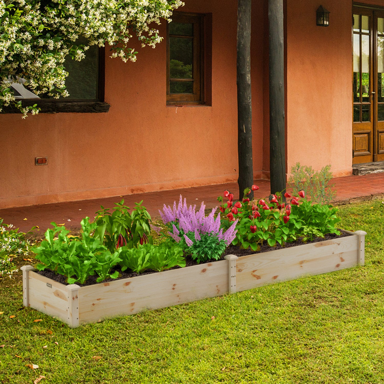 Wooden vegetable raised garden bed for outdoor backyard, patio, or balcony gardening, made of natural wood for planting vegetables.