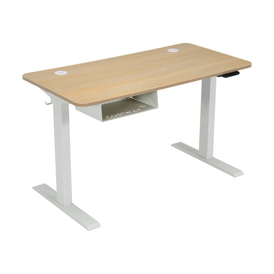 48 Inches Electric Standing Adjustable Desk with Control Panel and USB Port-Beige