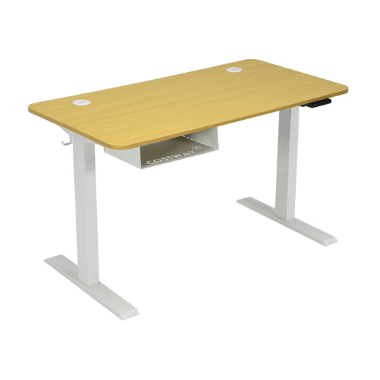 48-Inch Electric Standing Adjustable Desk with Control Panel and USB Port-Natural