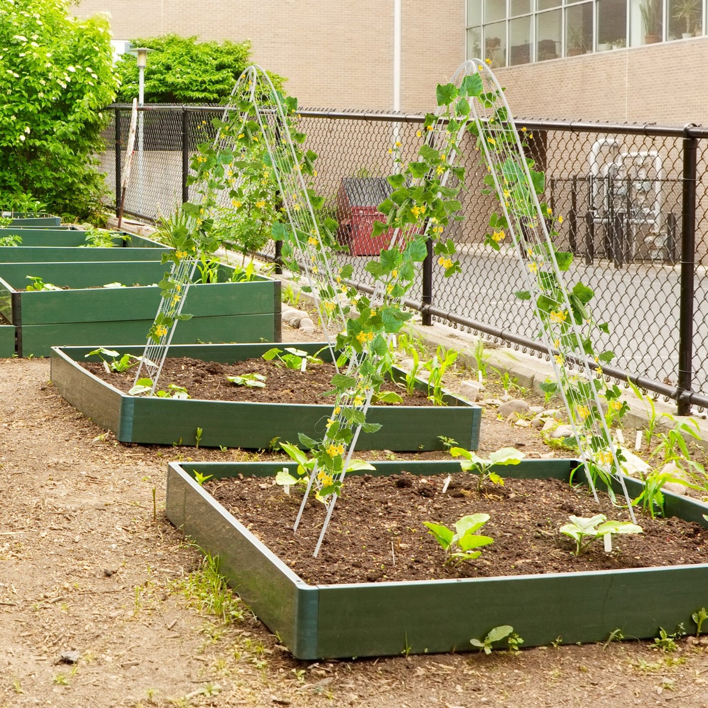 2 Pack 71 x 20 Inch Metal Garden Trellis Rustproof Plant Support for Climbing Plants-Green