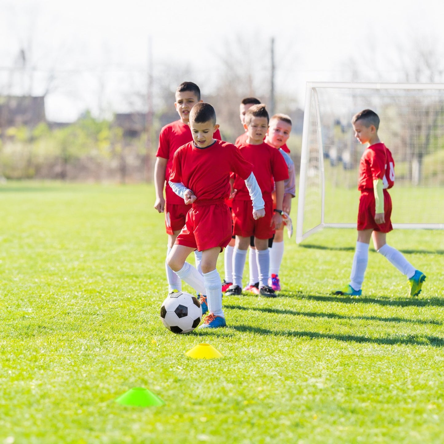 8 x 6 Ft Soccer Goal with Ground Stakes and Soccer Cones