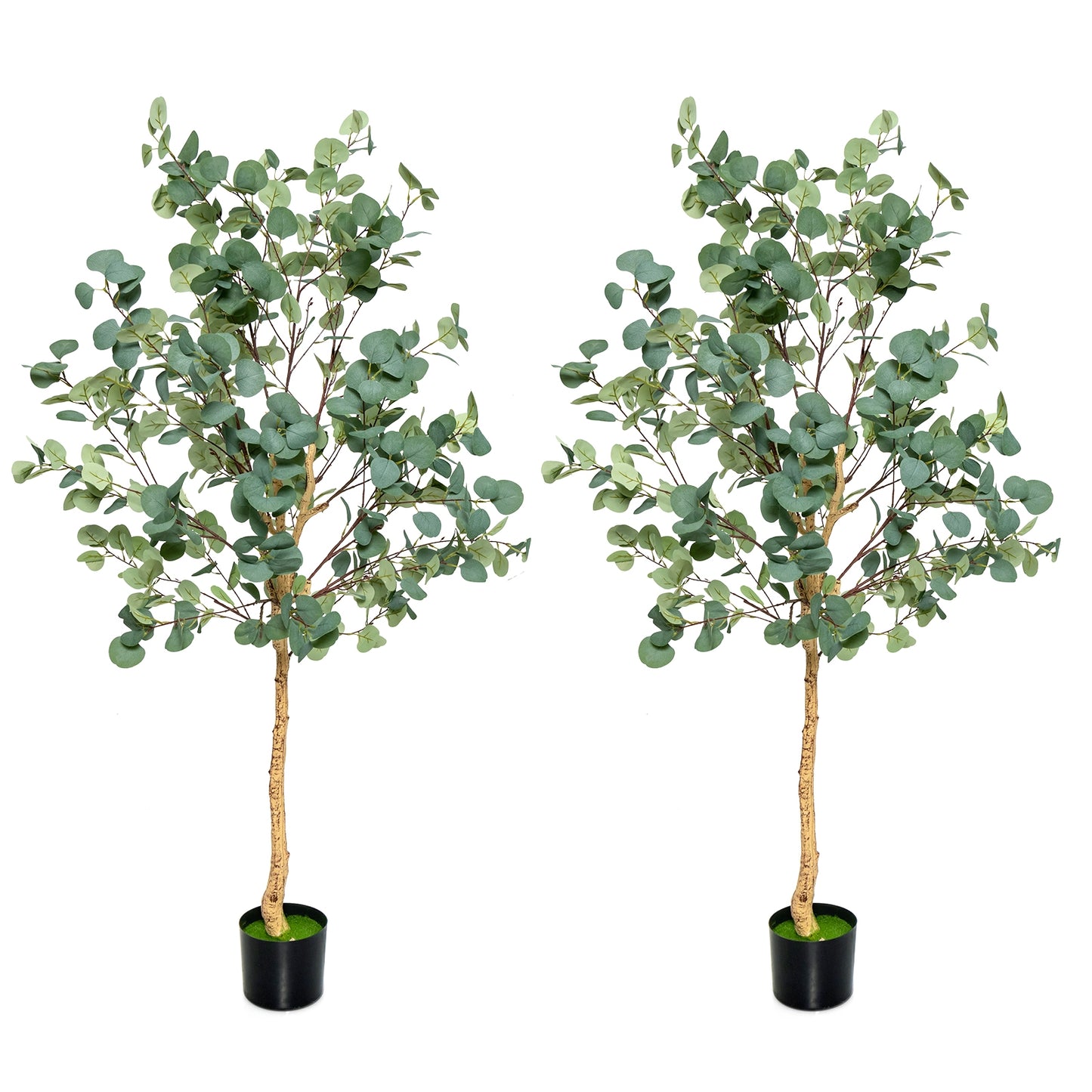 5.5 Feet Artificial Eucalyptus Tree with 517 Silver Dollar Leaves-2 Peice