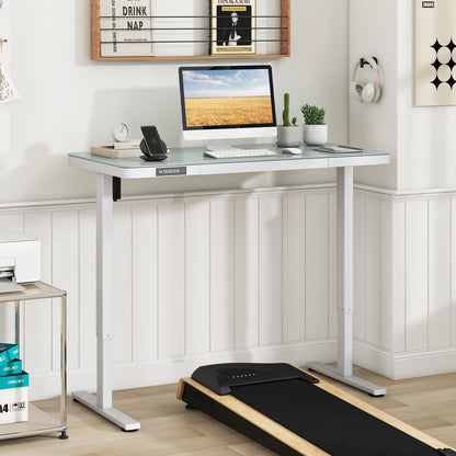 48-Inch Height Adjustable Electric Standing Desk with Drawer-Black
