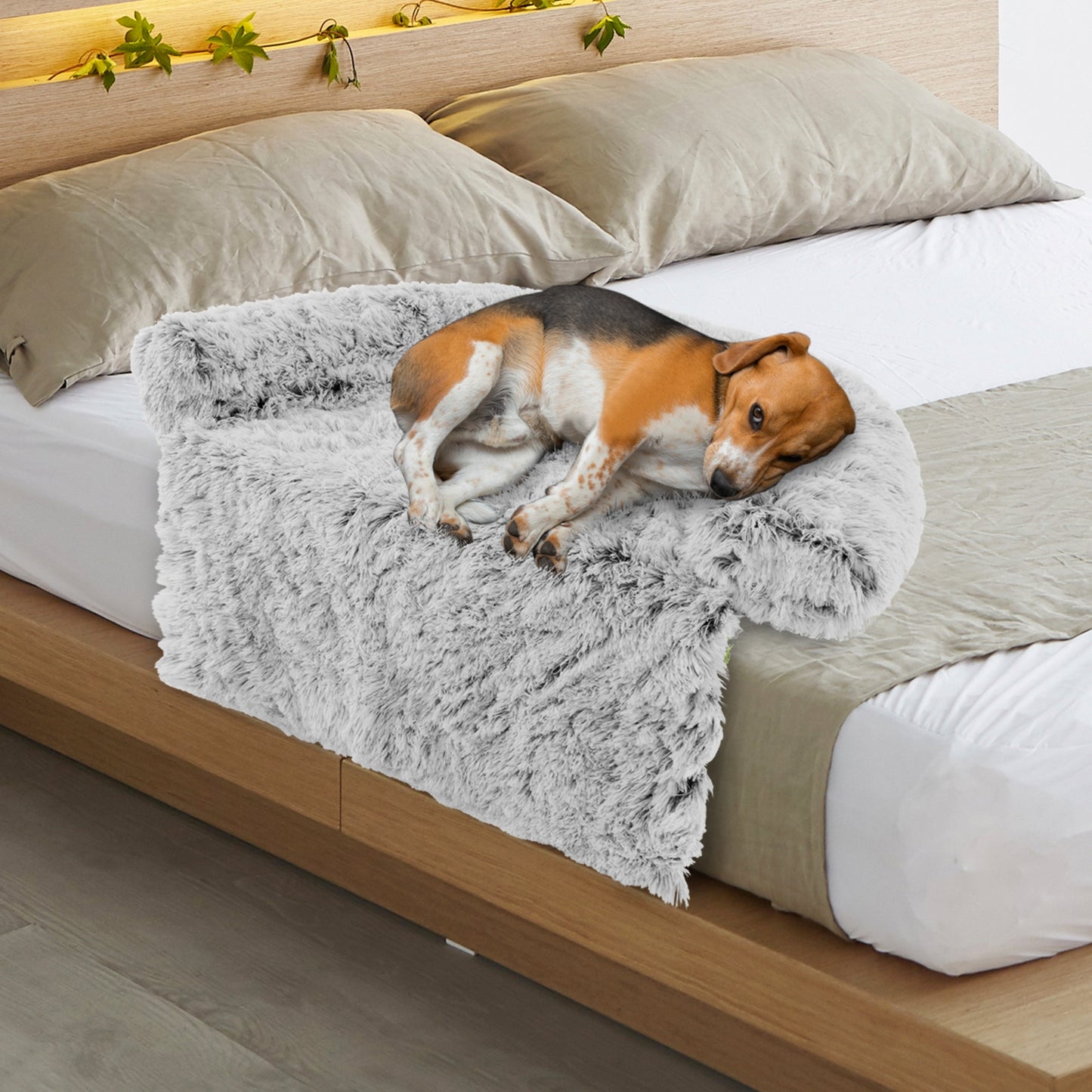 White Plush Calming Dog Couch Bed with Anti-Slip Bottom-M