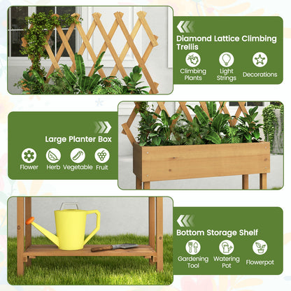 Wooden Raised Garden Bed Mobile Elevated Planter Box with Trellis
