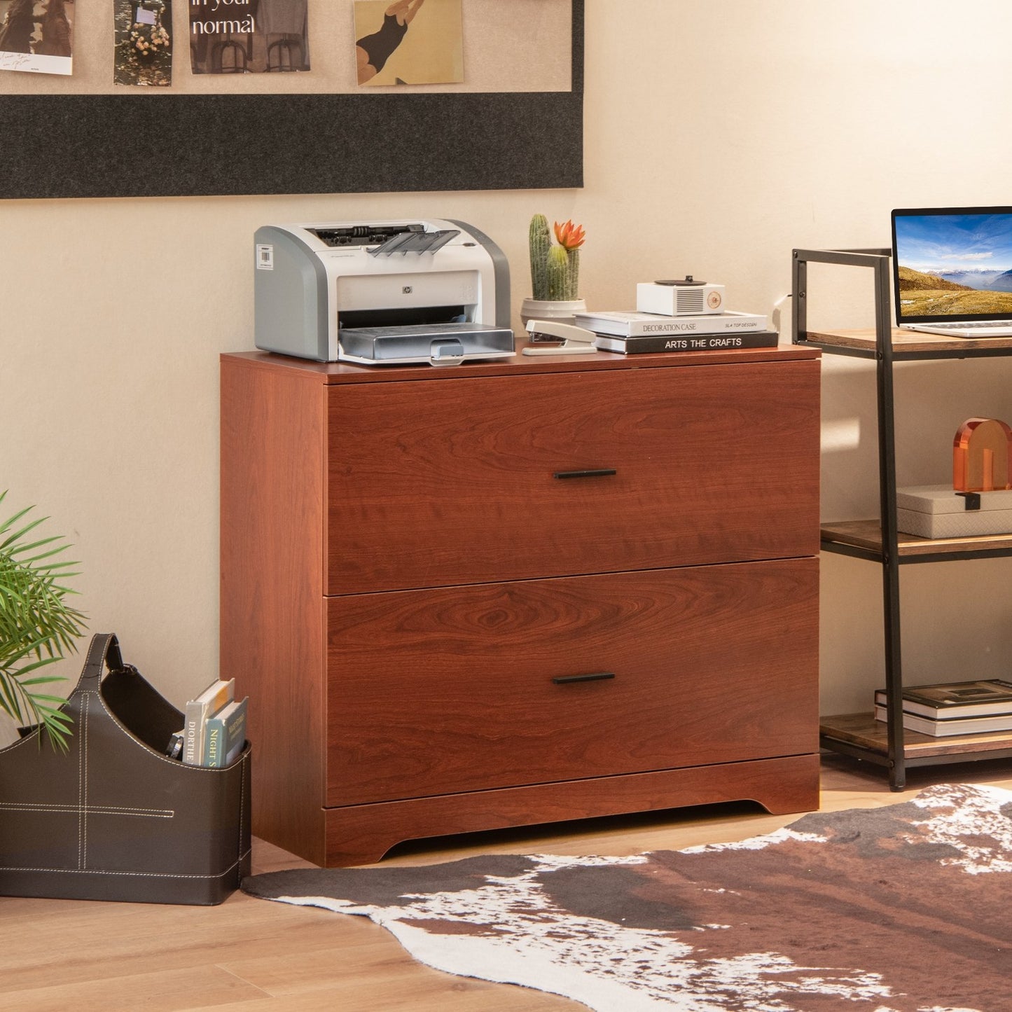 2-Drawer Lateral File Cabinet with Adjustable Bars for Home and Office-Black