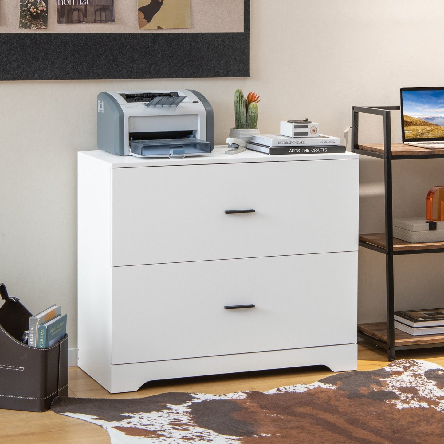 2-Drawer Lateral File Cabinet with Adjustable Bars for Home and Office-Black
