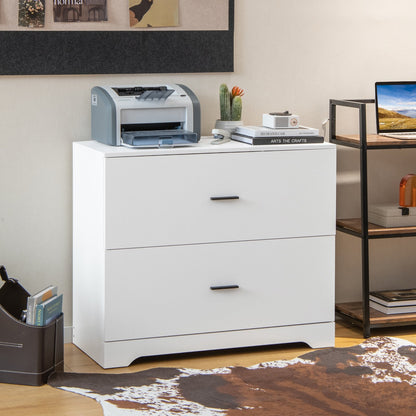 2-Drawer Lateral File Cabinet with Adjustable Bars for Home and Office-Black