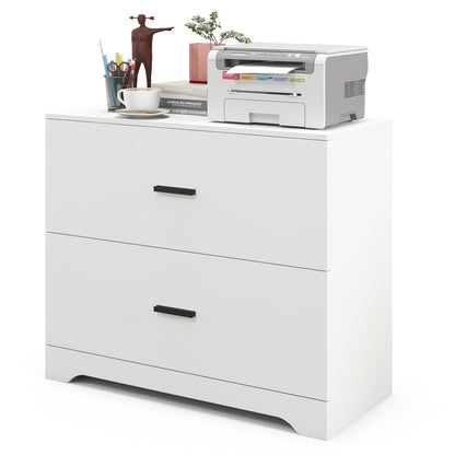 2-Drawer Lateral File Cabinet with Adjustable Bars for Home and Office-Black